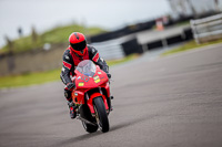 PJ-Motorsport-2019;anglesey-no-limits-trackday;anglesey-photographs;anglesey-trackday-photographs;enduro-digital-images;event-digital-images;eventdigitalimages;no-limits-trackdays;peter-wileman-photography;racing-digital-images;trac-mon;trackday-digital-images;trackday-photos;ty-croes